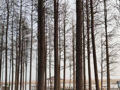 -太湖湖滨国家湿地公园-停车场