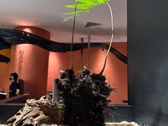-羽鸽集·乳鸽专门店·地道顺德菜(岭南站店)