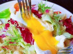 捷克农家沙拉-布拉格餐厅· 中欧捷克菜(全国首店)