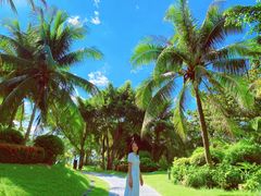 -海南清水湾莱佛士酒店