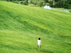 -大连铭湖国际观光牧场