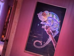 -纯K(打浦桥店)