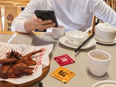 -百利鸽王(紫薇路店)