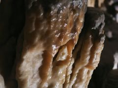 -波斯托伊纳溶洞