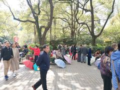 -人民公园-相亲角