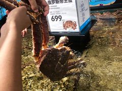 阿拉斯加黄金帝王蟹-盒马鲜生(曜一城店)