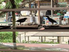 -东海岸人工湖美食村