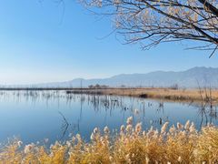 -野鸭湖国家湿地公园