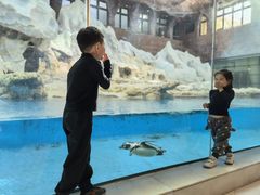 -帝企鹅自助餐厅•儿童岛•真企鹅(长隆企鹅酒店)