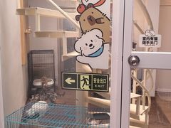 -有猫主题·治愈系猫咖(曾厝垵店)