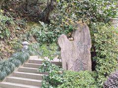 -十八棵（老龙井）御茶园(老龙井店)