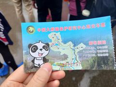-都江堰中华大熊猫苑