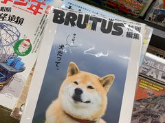 -诚品(信义店)