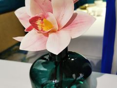 -花样西贡·蜜越餐厅·法式越南料理(水晶城店)