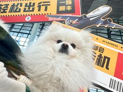 -常州奔牛国际机场