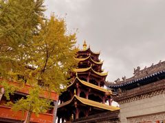-磁器口古镇