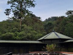 -槟城植物园