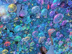 -天津梵高星空艺术馆(天河城旗舰店)