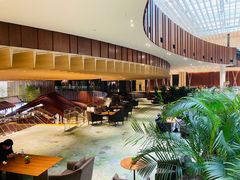 -北京望京凯悦酒店The Lounge大堂酒廊
