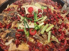 -老板恋上鱼(恒隆广场店)