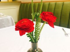 -蝶舍·MAISON PAPILLON