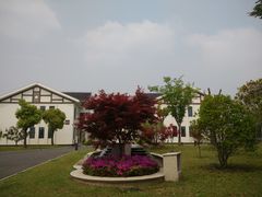 -明珠湖天鹅苑·农家菜馆