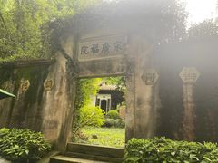 -十八棵（老龙井）御茶园(老龙井店)