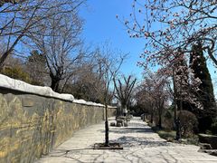 -石老人观光园