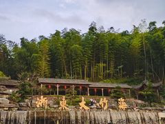 -宁波浙东大竹海景区