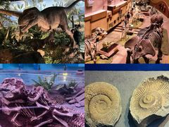 -陕西自然博物馆