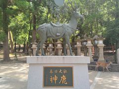 -奈良公园