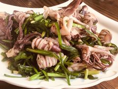 -鲁前海沿儿