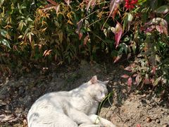 -东华大学(松江校区)