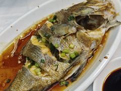 -阿军排档·烧烤