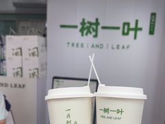 -一树一叶·福建茶档(石鼓路店)