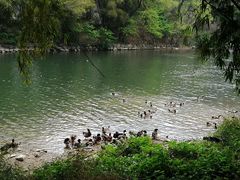 -清远鱼水旅游风景度假区