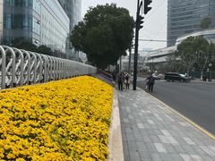 -北外滩滨江绿地