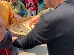 -眼镜粑粑