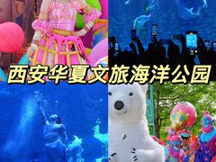 -华夏文旅海洋公园