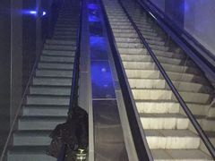 -白鹤梁水下博物馆