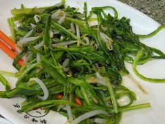 青龙菜-新峰肉骨茶