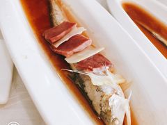 -新镇江酒家(南京西路店)
