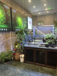 -阅年轻·AI家庭健康体质调理