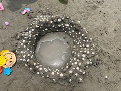 -启东黄金海滩景区