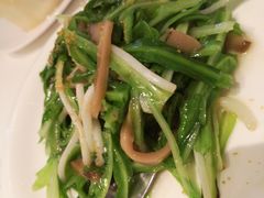 -新加坡海鲜共和(名胜世界圣淘沙海滨坊)