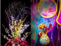 点击看大图 -泓瑞金陵大酒店·宴会厅