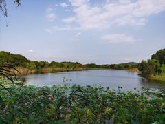 -上海市保健医疗中心