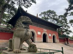 -普乐寺