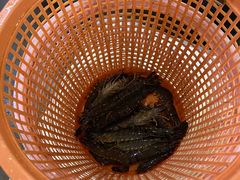 -庆余生平价生猛海鲜(海棠湾林旺夜市店)