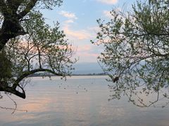 -西昌邛海湾柏樾酒店(原邛海湾柏栎度假酒店)